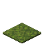 Moss Carpet